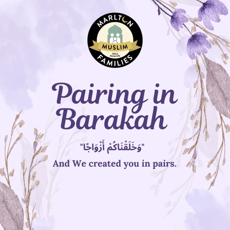 Cover image for Halal Marriage Matchmaking Event Ladies Registration