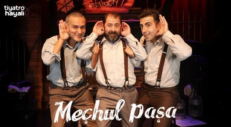 Cover image for Meçhul Pasa