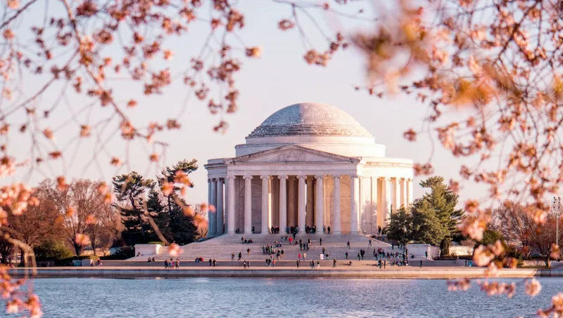 Cover image for Washington DC Muslim Singles Event