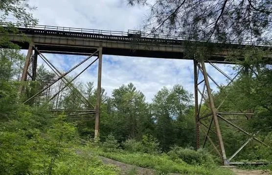 Cover image for Hiking: Midhurst Trail -- 10.3 km (moderate)