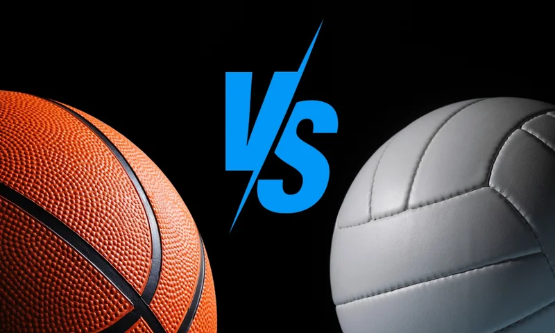 Cover image for MSA Sports Night: Basketball & Volleyball at the Barnes Center