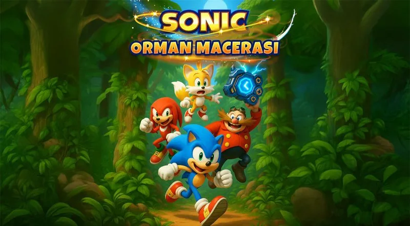 Cover image for Sonic Orman Macerası